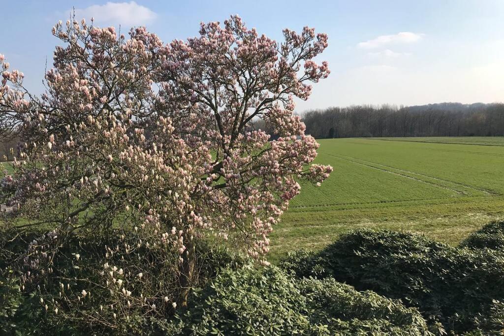 Ferienwohnung Auf Dem Land Und Trotzdem Stadtnah. Herford Eksteriør billede